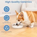 IDOGCHEW Antischlingnapf Hunde Keramik, Slow Feeder Hundenapf Ø 20.5cm, Futternapf Hund für mittelgroße und große Hunde, rutschfest, spülmaschinenfest, lebensmittelechtes Material (weiß)