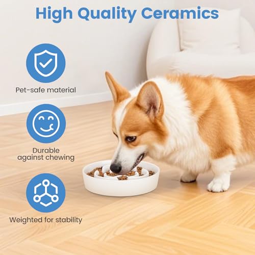 IDOGCHEW Antischlingnapf Hunde Keramik, Slow Feeder Hundenapf Ø 20.5cm, Futternapf Hund für mittelgroße und große Hunde, rutschfest, spülmaschinenfest, lebensmittelechtes Material (weiß)