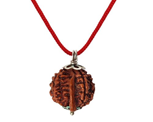 IndianStore4All Nepali Ganesh Rudraksha - Colgante de Ganesha Rudraksha de 20 a 22 mm aprox