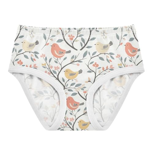 ZZKKO Birds Tree Leaves Floral Girls Underwear Toddler Panties for Girls Comfort Brief Size 2-8T