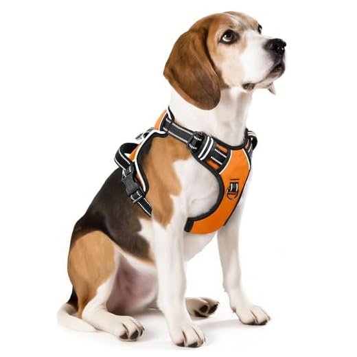 HEELE Hundegeschirr, No-Pull Hundegeschirr, Brustgeschirr für Mittelgroße Hunde, Weich Atmungsaktiv Einstellbar Reflektierend Hundegeschirr Anti Zug mit Gepolstert Griff, Orange, M