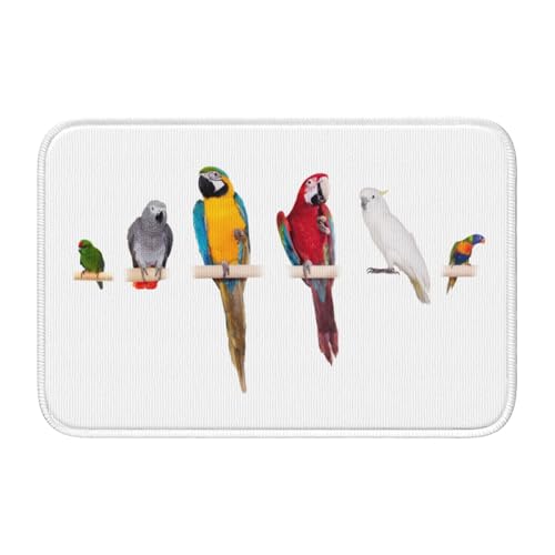 փ}bg CR IE  oX}bg  O @}bg J[ybg  k ~ߕt 􂦂 xbg[  䏊 Q Ɩp ƒp 40×60cm