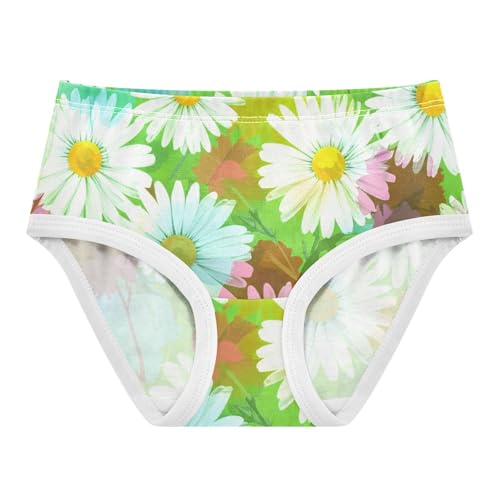 Toddler Underwear Floral 2t Cotton Cute Panties Girl Cartoon Kids Briefs Undies White Daisies Wildflowers Green