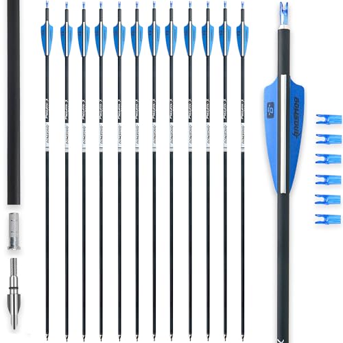 BOWSOUL 31Inch Carbon Arrows for Target Practice Hunting Arrow with Removable Tips for Compound & Recurve Bow(Pack of 12) (Blue White)