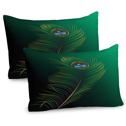 Ambesonne Peacock Pillow Sham Set of 2, Peacock Feather Illustration in Simplistic Style Wild Nature Life Print, Quality Microfiber Bedding Item for All Seasons, 30