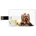 Produktbild 8G USB-Flash-Laufwerke Kreditkartenform Yorkie Memory Stick Bankkartenstil Yorkshire Terrier mit stilvoller Friseurausrüstung Spiegelschere Dekorativ, dunkelbraun Mehrfarbig Wasserdichter Stift Daumen