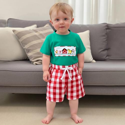 Toddler Baby Boy Farm Clothes Animal Embroidery Short Sleeve T-Shirt Plaid Shorts Set 2Pcs Summer Outfits4