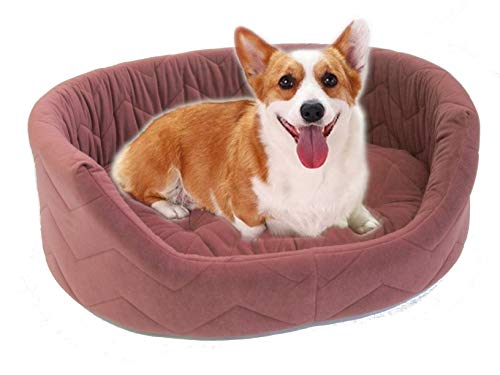 ^p ybgxbh { 􂦂 pxbh Y ې􂢂nj NbVO ی^ ybg\t@[ lRpxbh ӂ v 100 xbh }bg NbV  L 킢 (h_j  hL Lg [Y)