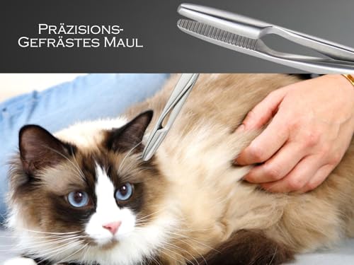 Tierhaar-Entferner Haar-Zupfzange für Hunde Pferde aus rostfreiem Edelstahl für Rechthänder und Linkshänder 15 cm