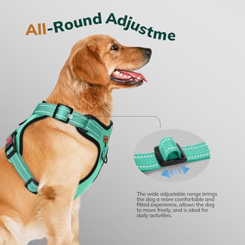 FAYOGOO Hundegeschirr, Kein Choke Front Clip Hund Reflektierendes Geschirr, No-Pull Verstellbare Weiche Gepolsterte Haustier Weste Set für kleine Mittlere Große Hunde Gehen (Grün, M)