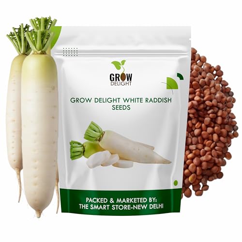 Image of White Raddish (Safed Mooli) (500 Seeds) Vegetable Seeds for Home Garden, Organic & Hybrid, Perfect for Home Gardening, Planting For Pots and Patio