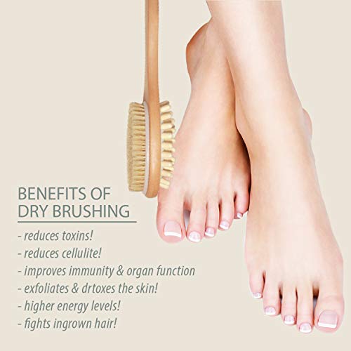 Rustic Rituals Wooden Double-sided Bath Brush With Massager and Long Handle | Dry Brushing Removes Dead Skin, Treats Cellulite & Stimulates Blood Flow - Image 6