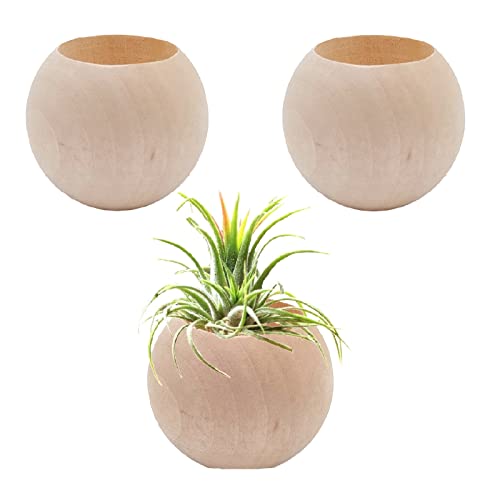 Comparison: Best Containers For Air Plants 4 Nwsrayu 3 pcs Wood Air Plant Holder Air Plant Pots Air Plants Display Containers Table Centerpiece Succulent Plants Pot for Home Office Tabletop Decor