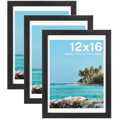 Image of HOUSE DAY 3 Pack 12x16 Poster Frame Wood and HD Plexiglass Black for Wall
