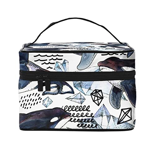 NW ʉ X C σ|[` fB[X ϓ ϕi [ e @\I 