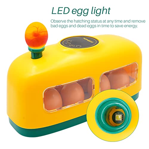 8 Eier Inkubator Hühner Brutmaschine für Geflügeleier, Kleiner Eierbrutschrank in Zugform mit Led-eilicht, Digitale… – Bild 8