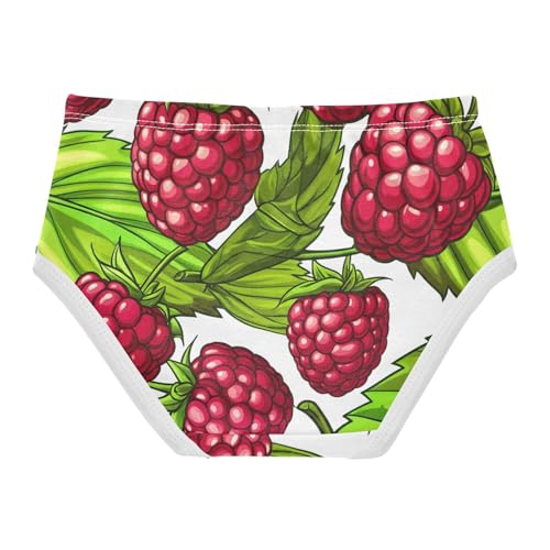Raspberries Green Leaves Floral Panties Little Girl Toddler Girls Underwear Cotton Aesthetic Kids Briefs Undies 2t2