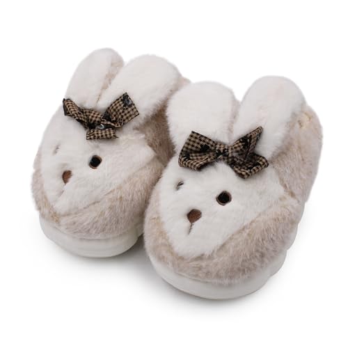 Image of VRITRAZ Women's Comfort Slip On Closed Toe Warm Winter House Clog Indoor Slipper with Cute Print and Degins