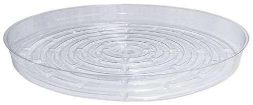CWP CW-1300N Vinyl Plant Saucer, 13-Inch Diameter, Clear