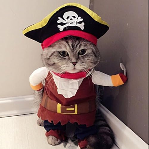 Costume pour chien/chat avec chapeau Pirates des Caraïbes.