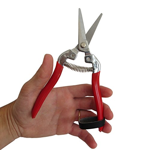 TABOR TOOLS Pruning Shears, Florist Scissors, Multi-Tasking Garden Snips for Arranging Flowers, Trimming Plants and Harvesting Herbs, Fruits or Vegetables. K17A. (Straight, Stainless Steel Blades) - Thumbnail 2