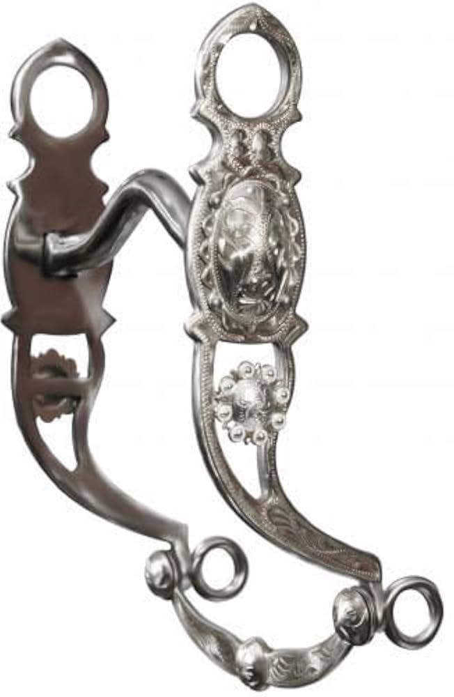 showman Amazon.com : Showman Stainless Steel Silver Show Bit w/Low