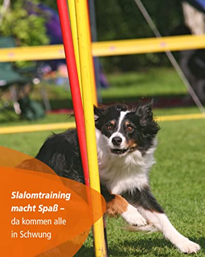 SPORTIKEL24 Agility-Slalom – Slalom für Turnier & Agility-Training – mit 12 Stangen & und Basis aus Metall – stabile Ausführung – FCI-konform – Set mit Tragetaschen