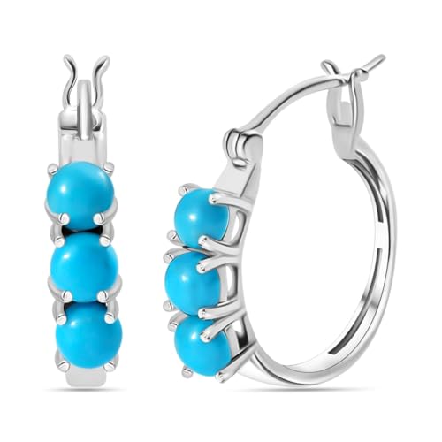 Shop LC Sleeping Beauty Turquoise 925 Sterling Silver Earrings for Women Jewelry Ct 1.48 Birthday Gifts for Women