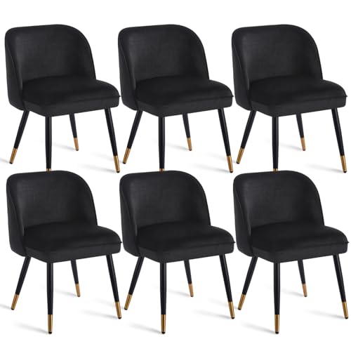 stone princess Chaise de Salle à Manger Velours - Chaise Moderne avec Pieds Noir et Doré Tissu Velours - Confort Assuré pour Salle à Manger ou Salon (6,...