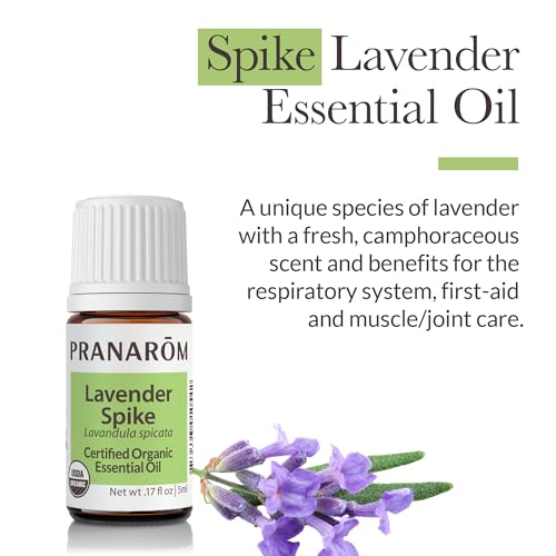Pranarom - Aceite Esencial Lavanda Spike 5ml miniatura 2