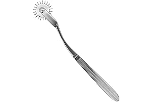 Wartenburg Wheel - Stainless Steel Mens Sex Toys