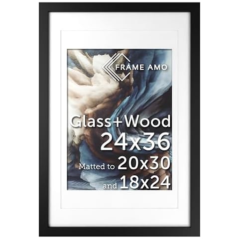 Frame Amo 24x36 Black Wood Frame Cover