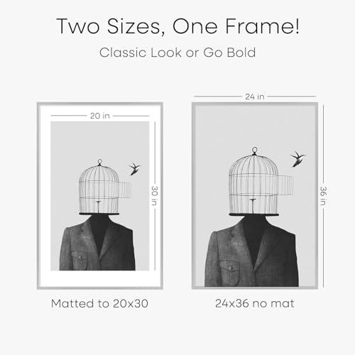 Image of Homeforia Poster Silver Frame 24x36, High End Metal 24 x 36 Large Picture Frame with Mat 20 x 30 Photo, 24x36 Silver Frames Matted to 20x30 Print, 36x24 Thin Frames, Tempered Glass, Wall Kit, Set of 1
