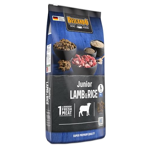 Belcando Junior Lamb & Rice [12,5 kg] Hundefutter | Trockenfutter für Junghunde | Alleinfuttermittel für Junghunde ab 4 Monaten
