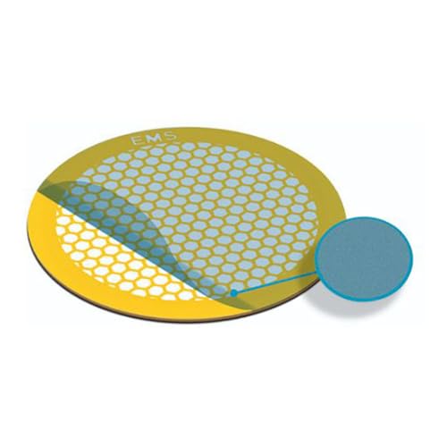 EMS tH[o[ T|[gtB ^o[Zp 20-30nm 200bV qTCY S[h (50) FFTH200-Au-ET