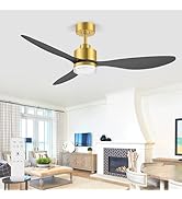 52 Inch Modern Gold Black Ceiling Fans with Lights and Remote, 6-Speed Reversible DC Motor, 3 ABS...