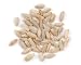 Rye Berries, 10 Pound Box