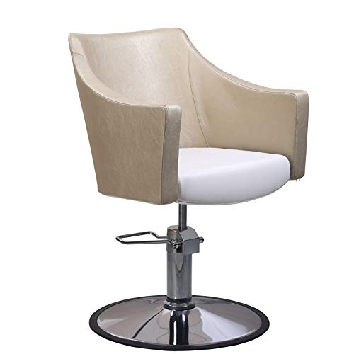 Danyel Beauty Beauty Salon Barber Chair Hair Cutting Chair Salon Beauty Chair Styling Color Fashion Salon Furniture Equipment