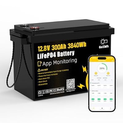 12V 300Ah LiFePO4 Battery with Bluetooth Smart Monitoring, 3840Wh Deep Cycle Lithium Battery, 200A BMS, 8000+ Cycles for RV, Off-Grid Solar Systems, Home Backup, Marine & Trolling Motors