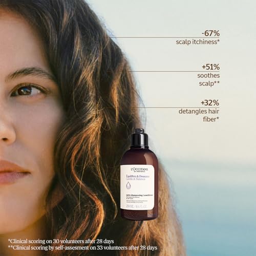 Image of L'Occitane Gentle & Balance Conditioner Refill, 500 ml | Sulphate Free| Lavender Essential Oil | For All Hair Types (Pack of 2)