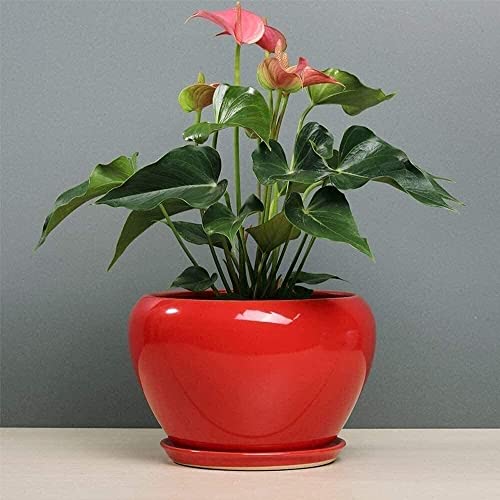 Pot d'orchidée en céramique rouge grand format | Pot de fleurs de jardin rond au design moderne