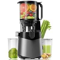 Canoly Entsafter, 400W Slow Juicer, Saftpresse mit 140mm Großer Fütterungsrutsche für Ganze Gemüse und Obst, 2L Füllvolumen, Kaltpresse Hohe Saftausbeute, Leicht zu reinigen, BPA-Frei, Deep Grey