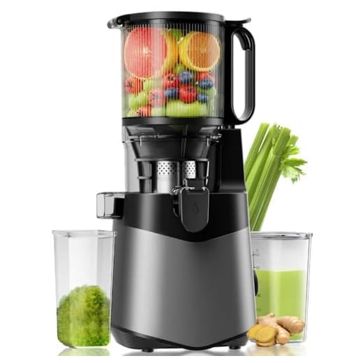 Canoly Entsafter, 400W Slow Juicer, Saftpresse mit 140mm Großer Fütterungsrutsche für Ganze Gemüse und Obst, 2L Füllvolumen, Kaltpresse Hohe Saftausbeute, Leicht zu reinigen, BPA-Frei, Deep Grey