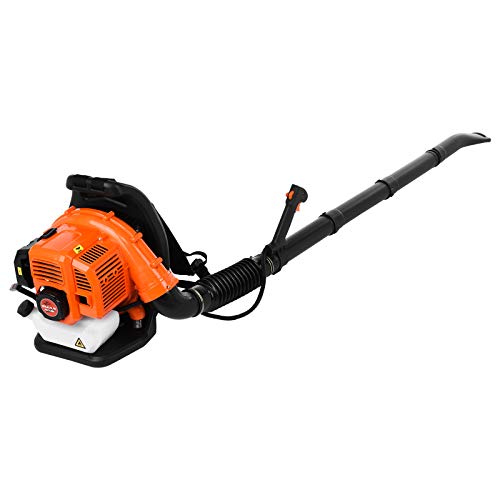 Which Best Leaf Blower Gas Backpack Should You Buy Now? Spicer Castle