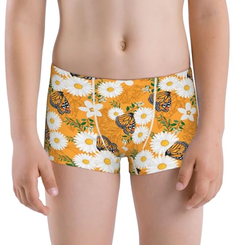 Boys' Cotton Boxer Brief Soft Underwear-White Floral And Butterflies