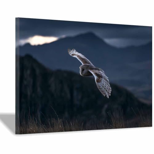 Chouettes sauvages peinture sur toile multicolore 70x100cm encadrée pour décoration murale