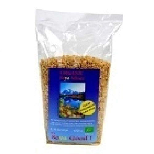 Organico It's Soya Good Soy Mince 200g Pack Of 1