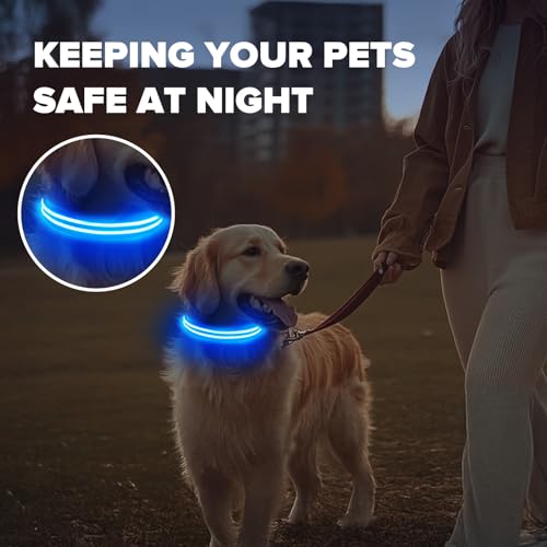 Feycig Leuchthalsband Hund USB Aufladbar - LED Hundehalsband Leuchtend Wasserdicht Leuchtendes Hunde Halsband Einstellbare für Kleine Mittlere Große Hunde, 3 Modi