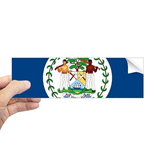 Pegatina rectangular de Belice para evitar burbujas al colocar en ventanas de vidrio 2