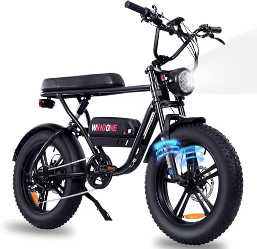 Windone K2 Electric Bike for Adult,Ebike for Adults with 750W